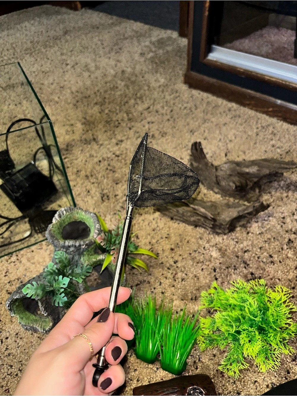 Telescopic Aquarium Fish Net, Black & Silver